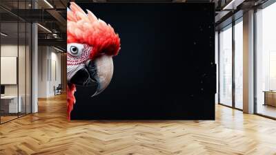  A parrot in tight focus against a black backdrop, flecks of water spraying its backward side Wall mural