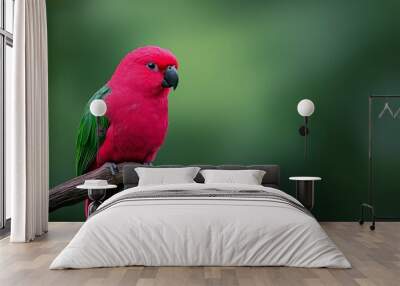  A red and green bird perches on a tree branch against a blurred backdrop of leafy foliage Wall mural