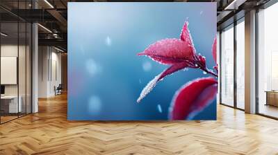  A red plant with water droplets on its leaves and a blue sky as the backdrop Wall mural