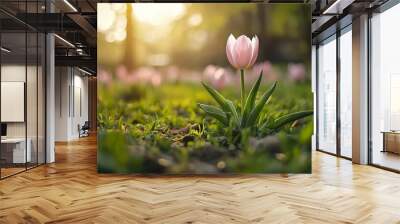  A solitary pink tulip blooms in a verdant field, framed by sunlight filtering through the trees behind Wall mural