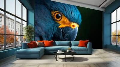  A tight shot of a blue parrot's face, adorned with a yellow and blue feather in its head Wall mural