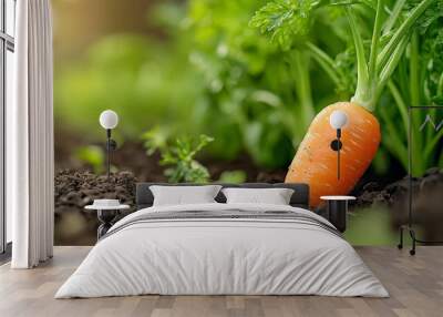  A tight shot of a carrot emerging from the earth, surrounded by dirt in the foreground In the background, a green carrot top with foliage unfurls as part of a Wall mural