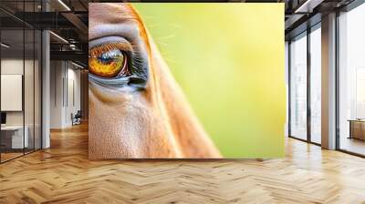  A tight shot of a horse's expressive eye against a softly blurred backdrop of waving grass and trees Wall mural