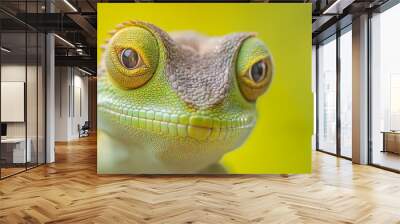  A tight shot of a lizard's face with soft-focused backdrop of its eyes Wall mural