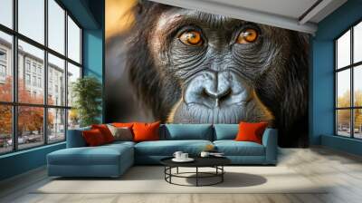  A tight shot of a monkey's face with orbital orange eyes Wall mural