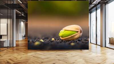  A tight shot of a pistachio seed against a black backdrop, nestled within its seed pod Background softly blurred Wall mural