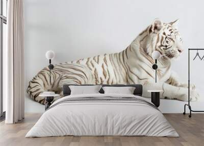 white bengal tiger Wall mural