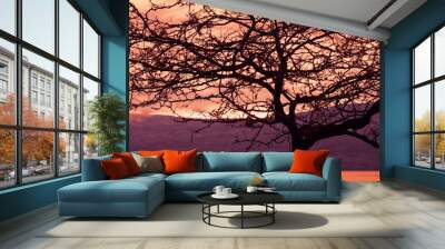 A brilliant sunrise breaking over the mountain tops, and creating rich and dark silhouettes of the barren trees along the shoreline of a lake. Wall mural