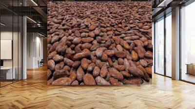 cocoa beans drying in the courtyard of the chuao church Aragua state Venezuela Wall mural