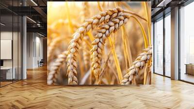 Close-up of golden wheat ears in sunlight. Wall mural