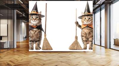 Two adorable cats dressed as witches, each with a broom, perfect for Halloween-themed designs and decorations. transparent background Wall mural