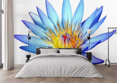 Blooming blue lotus flower isolated on white background Wall mural