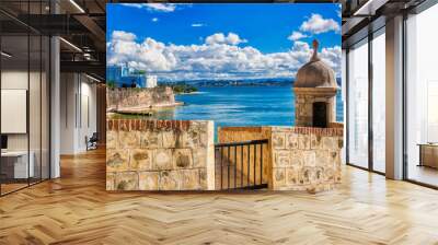 Gate to San Juan Wall mural