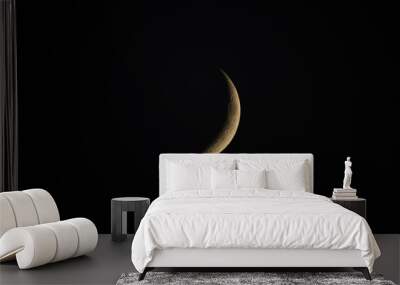 Waning Crescent Moon  Wall mural