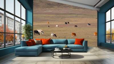 The cattle on the yellow grass are in autumn. Wall mural