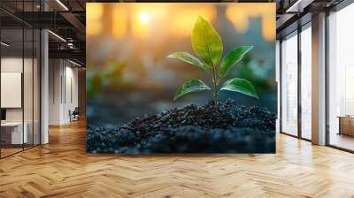 A small green plant is growing in the dirt Wall mural