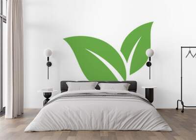 Natural Green Leaf Icon Vector Template Wall mural