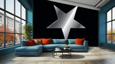 Silver Star Decorative Icon Vector Template	 Wall mural