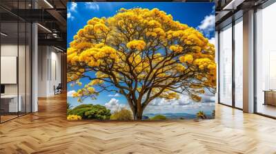 The national tree of Venezuela, the araguaney, proudly displays its vibrant yellow blooms, a stunning symbol of the country's rich cultural heritage and natural beauty. Wall mural