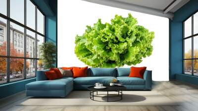 Isolated green lettuce on a white background Wall mural