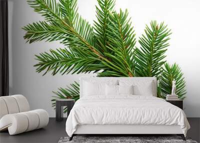 Top view of green fir tree spruce branch with needles isolated on white background

 Wall mural