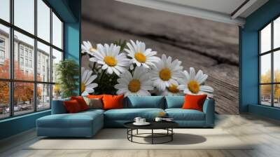 Flor margarita Blanca Flores White daisies lying on a weathered Wall mural