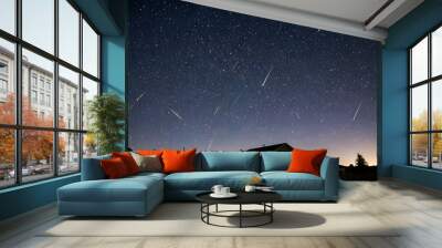 Night starry sky with stars and milky way over the house Wall mural