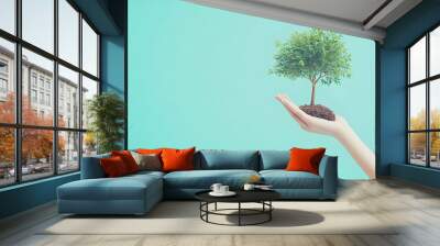 A hand holding a small tree symbolizes environmental care and growth. Perfect for eco-friendly themes and nature projects. Wall mural