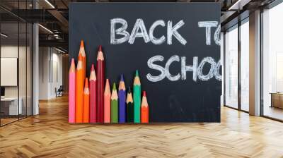 back to school chalk on blackboard background Wall mural