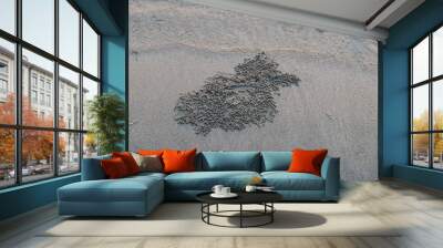 footprint on the sand Wall mural