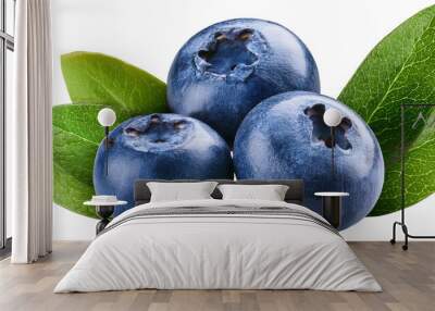 Blueberries and leaves isolated on transparent and white background Wall mural