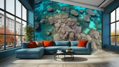 coral reefs in clean water Wall mural