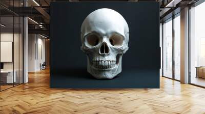 White Human Skull Against A Black Background Wall mural