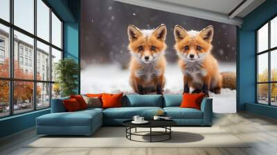 red fox in snow، Two small cute foxes playing in the snow Wall mural