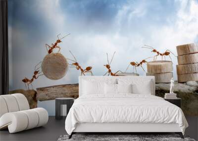 ants carrying wood crossing cliff, teamwork concept Wall mural