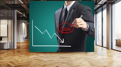 Business man drawing graph of profit compare with cost Wall mural