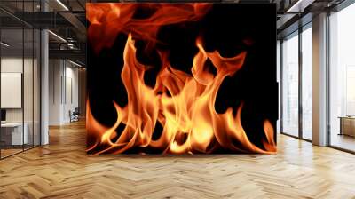 closeup Fire flame abstract background	 Wall mural