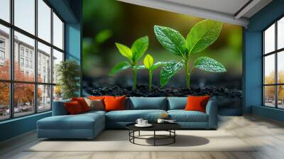 Presentation of a company business plan, focusing on long-term growth strategies and sustainable development. Wall mural