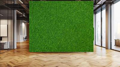 green grass background, football field Wall mural