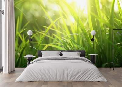 Vibrant green grass with sun rays shining through in a peaceful natural environment  Lush foliage and fresh botanical scenery Wall mural