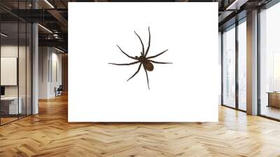 Isolated image of a large spider on a png file at transparent background. Wall mural