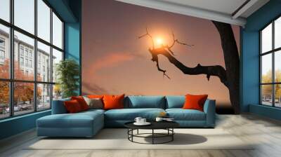 Silhouette of a large tree without leaves in nature with the sun shining in a peaceful atmosphere. Wall mural