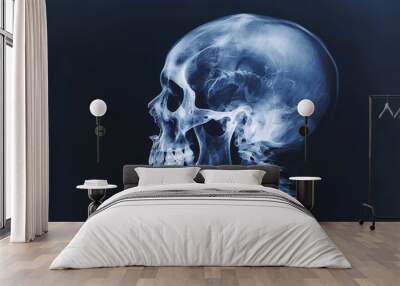 x ray of human skull Wall mural