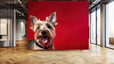 Australian terrier dog on red background with copy space (Generative AI) Wall mural