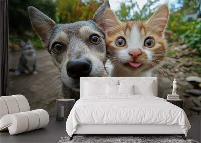 Dog and Cat Close Up. Wall mural