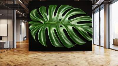 Monstera Leaf Black Background Wall mural