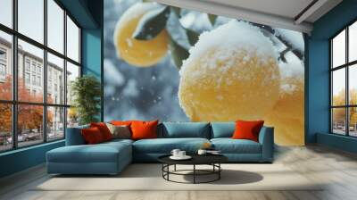 Snow-Covered Lemons. Wall mural