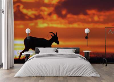 Big Horn Sheep Wall mural