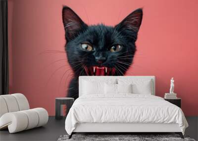 Bombay, angry cat baring its teeth, studio lighting pastel background Wall mural