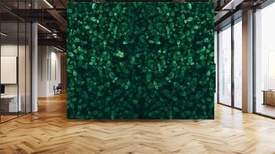 Tropical green leaf background, Dark tone theme. Wall mural